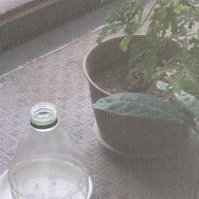 私は元気です6/4の画像