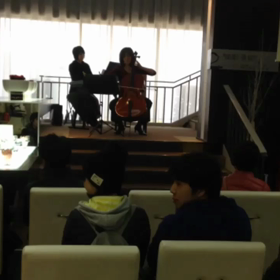 癒しカフェの動画の画像