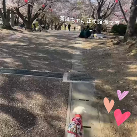 美凪ちゃんに家族ができました‼︎の画像