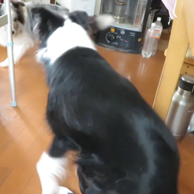 カリーネと遊ぶの画像