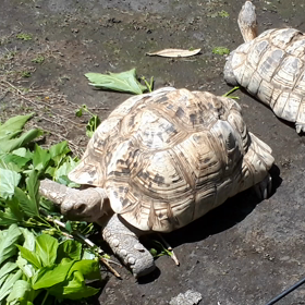 日向ぼっこ☀️の画像