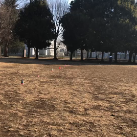 1000m１組目(Cグループ)⑦の画像