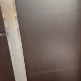 久しぶりの再会と初対面☆の画像