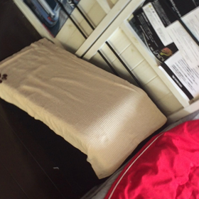 PDA心臓病 シロ ベッドスロープ クリアの画像