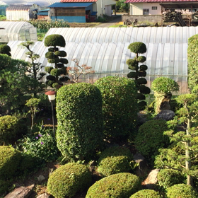 朝から…の画像