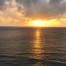 お久しぶりーふの画像