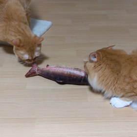 酔っ払っちゃった〜の画像