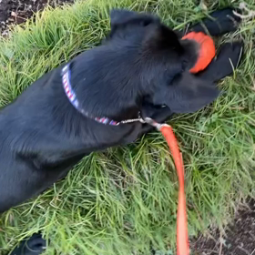 見てるの好きの画像