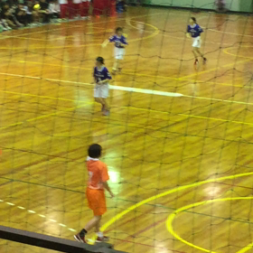 高校総体 ハンドボール 決勝戦の画像