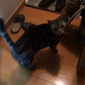 「扉の向こうへ」の画像