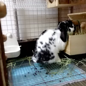 初の部屋んぽの画像