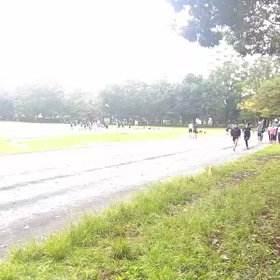 リレー特別練習(9月27日)②の画像