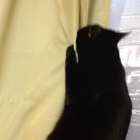 常に上を目指しての画像