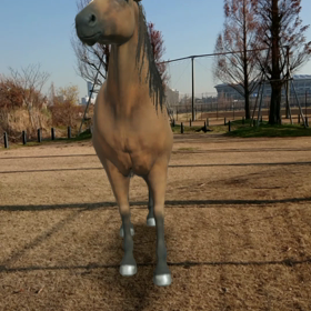 散歩中〜の画像