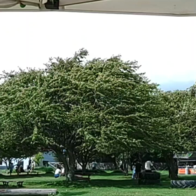 暴風の画像
