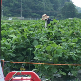 猪名川農業女子PJの画像