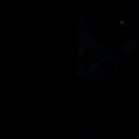 妖怪ハウスの画像