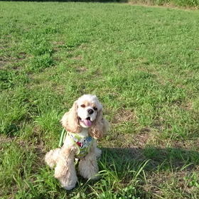 動くショーン(*￣ー￣)の画像