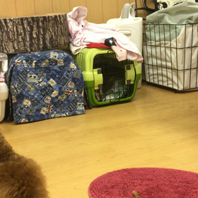 欲張り過ぎたかな！？の画像