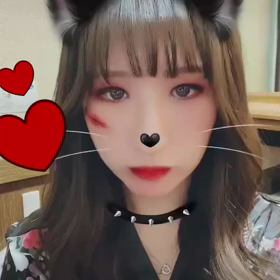 ねこねこねこの画像