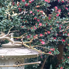 地震がありましたね。の画像