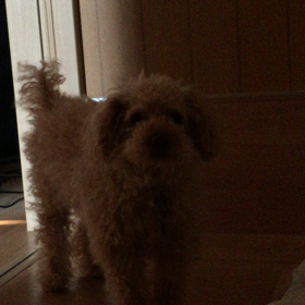 我が家のアラームの画像