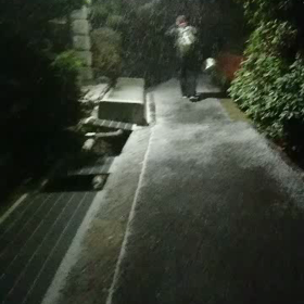 保護犬ミーティング中止のお知らせの画像