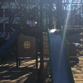 ♪公園での動画♪の画像