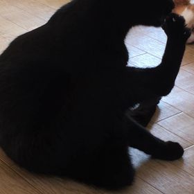 秋晴れですね。の画像