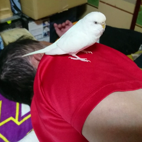 アタイは父ちゃんと寝るんだよー!!!!の画像