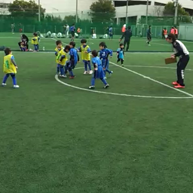 サッカー(動画)の画像