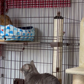 爪切りの悩みの画像