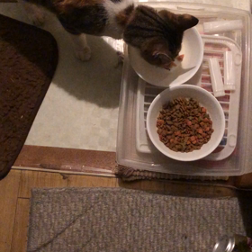 何だか希望の光が見えて来たようなの画像