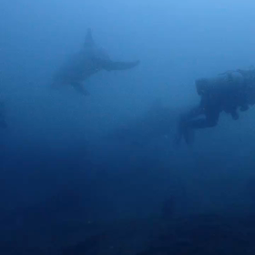 すべてが味になる　追記　ブギウギを観ての画像