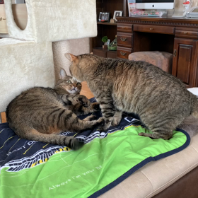 愛の逆襲の画像