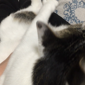 やわらかい世界の画像