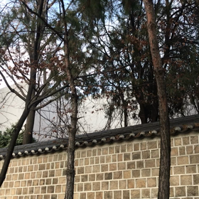 旅行① 韓国の画像