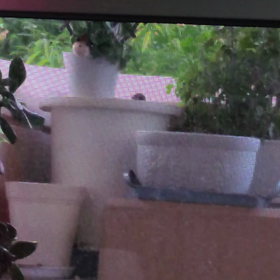 気だるさ…そしての画像