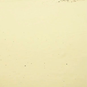 はての浜に上陸しました♪の画像