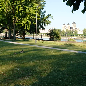 ドイツ・営業再開の許可の画像