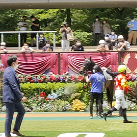 レッドラマンシュ　東京芝１４００m33.2の画像
