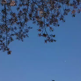 恒例行事の画像