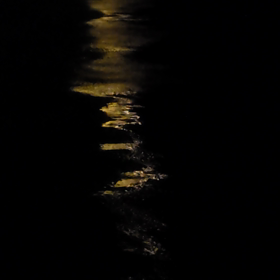 くろめだかの画像