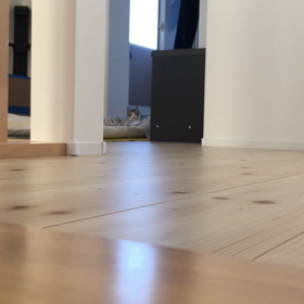 ダルマさんが転んだの画像