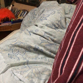 のせてある。の画像