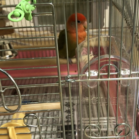 妄想好きな同僚の画像