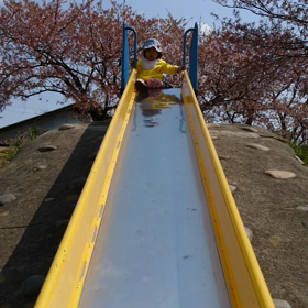 コロナ特別休暇の画像