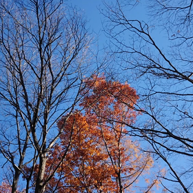 軽井沢へ✨④の画像