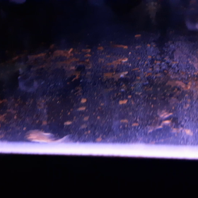 いい感じ？の画像