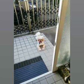 お外大好き★の画像